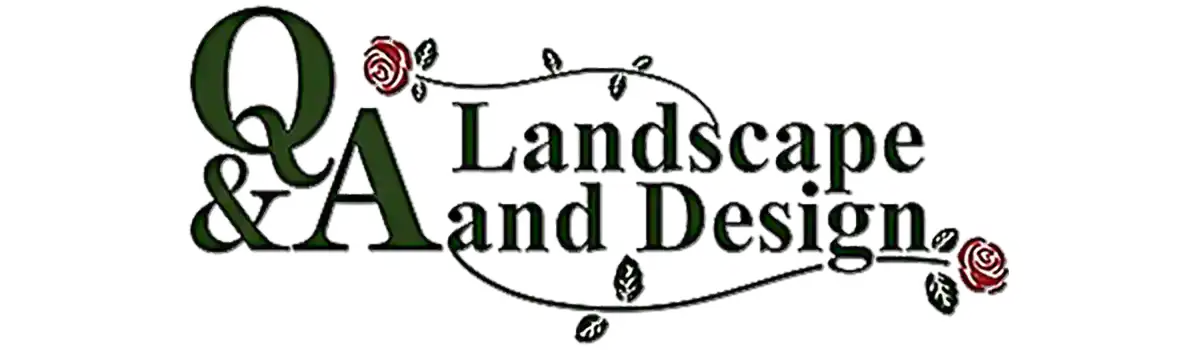 Q&A Landscape and Design